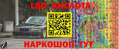 амф Можга