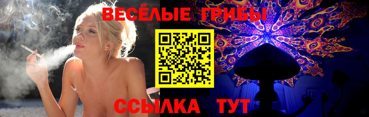 Псилоцибиновые грибы Psilocybine cubensis Лобня
