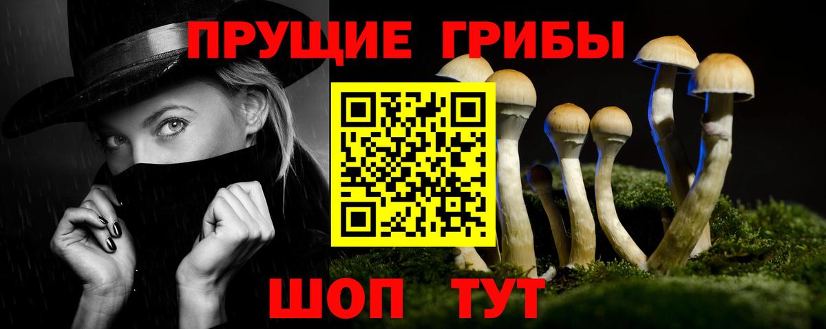 Лобня  Псилоцибиновые грибы мицелий  Вход с VPN 